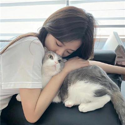 追梦小海豚
